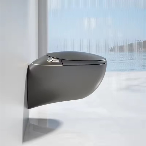 MYN bathroom automatic toilet Inodoros toilet automatic flush toilet intelligent ceramic ultraviolet egg-shaped wall-mounted sitz bath toilet